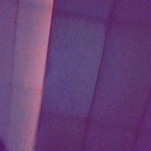 Meet your Posher, Mona